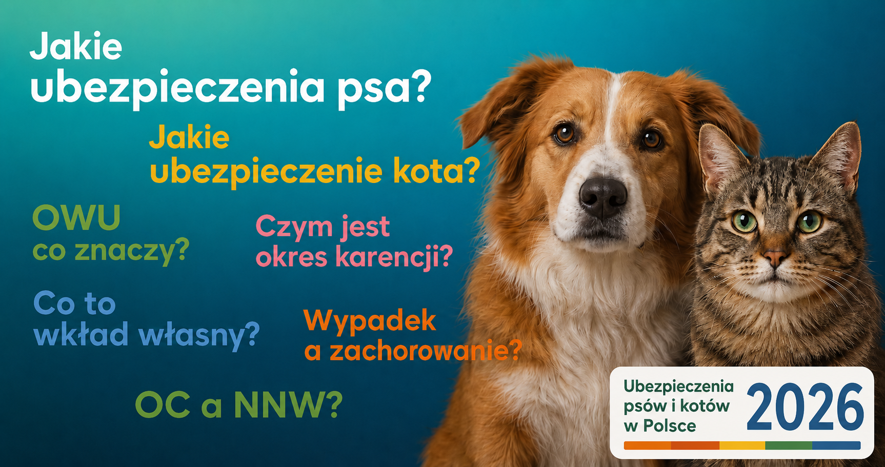 Ubezpieczenie psa i kota 2026: porównanie ofert, OWU, koszty leczenia i najważniejsze wyłączenia